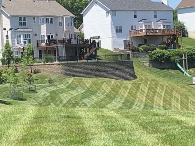 Project-20200606-0124-The-Finished-Look Project-20200606-0124-The-Finished-Look